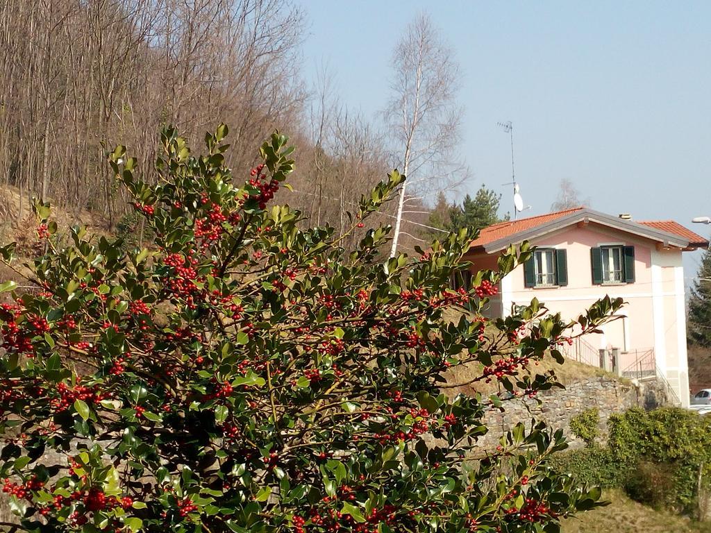 La Villa Morandi Marzio Exteriér fotografie